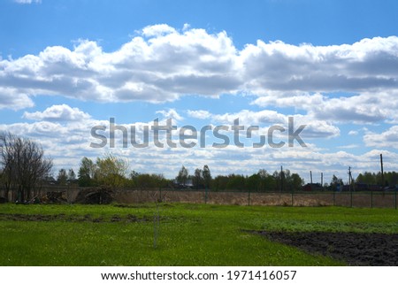 Green grass and blue sky with white clouds. A clear day. Bright picture
