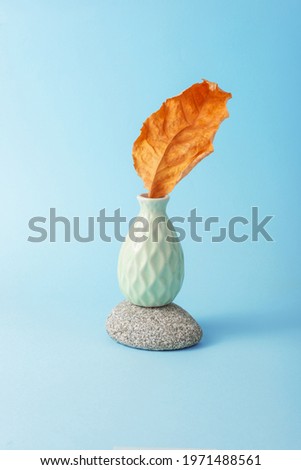 Dry Autumn Leaf in Ceramic Little Cute Vase standing on Gray Stone. Fall, Relaxing, Ecology and Save Nature Beautiful Peaceful thematic photo.