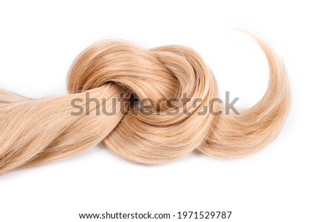 Blonde hair lock tied in knot. Strand of honey blonde hair isolated on white background, top view. Hairdresser service, hair strength, haircut, dying or coloring, hair extension, treatment concept Royalty-Free Stock Photo #1971529787