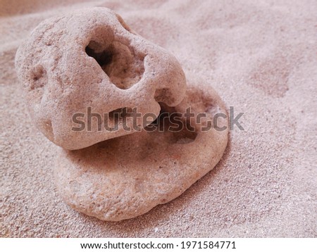 On the sand, stones of unusual shape, with holes.
