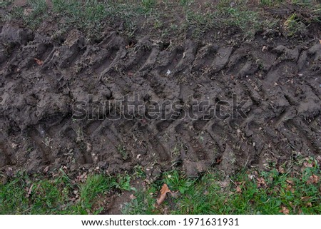 A truck track drying in the ground,  as a proof of the action of mankind. 