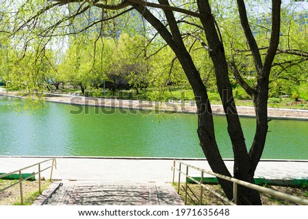 Big "Konkovsky" pond in early spring. Flowering trees