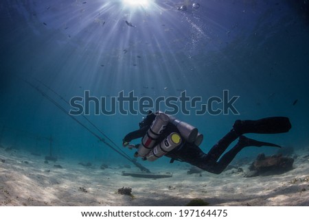 technical scuba diver in the shallows Royalty-Free Stock Photo #197164475