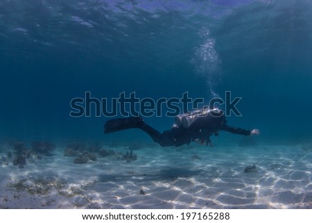 technical diver in the shallows Royalty-Free Stock Photo #197165288