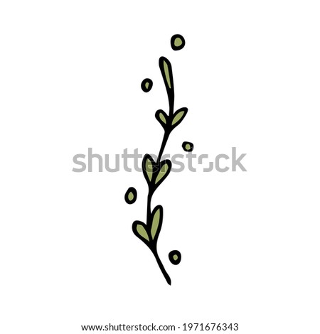 Hands with green leaves on a white background with circles isolated. The hand-drawn plant can be used for the design of cosmetic packaging, stickers, packaging paper, kitchen decor, pastel linen