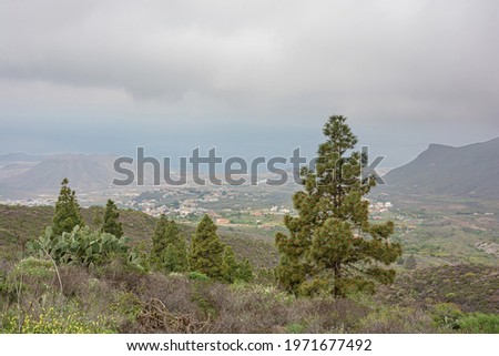 Mountain landscape with clouds. Thick clouds in the mountains. Stock photo.
