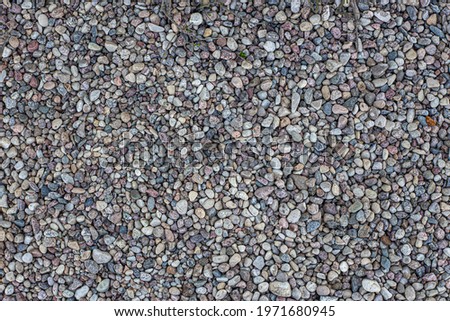 Smooth round pebbles texture background. Pebble sea beach close-up, dark wet pebble and gray dry pebble Royalty-Free Stock Photo #1971680945