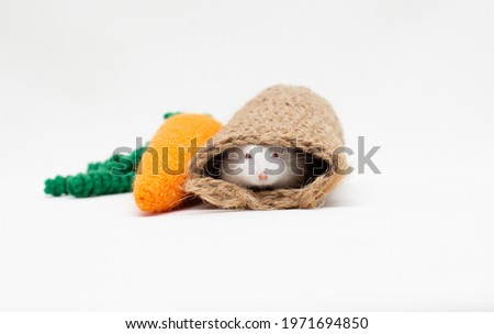 close up shot of a hamster with a toy carrot on white background