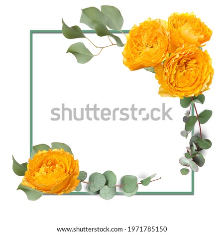 Composition with blank frame and beautiful flowers on white background