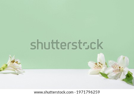 Natural light green background with white flowers.