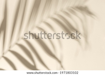 Summer minimal background with shadow from natural palm leaf on light yellow paper with copy space. Pastel colored aesthetic photography with palm plant.
