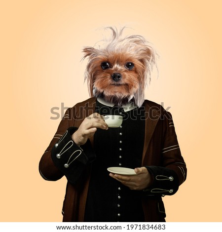 Morning. Model like medieval royalty person in vintage clothing headed by dog head on orange soft background. Concept of comparison of eras, artwork, renaissance, baroque style. Creative collage.