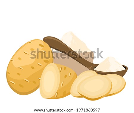 Starch in wooden bowl and fresh potatoes isolated on white background. Vector illustration. Royalty-Free Stock Photo #1971860597
