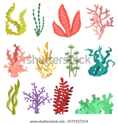 Set of watercolour seaweed. Cartoon vector illustration. Brown, pink, green, yellow ocean algae, sea plants, underwater kelp. Ocean, nature, plant, aquarium concept for banner design or landing page