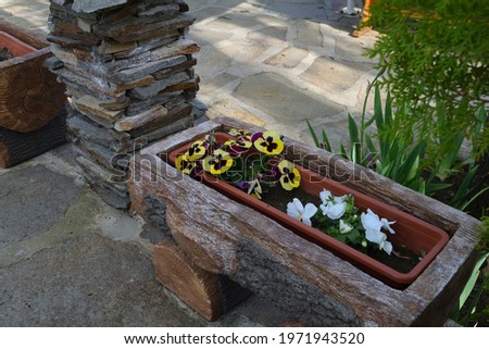 Beautiful flowers in a large garden flower pot