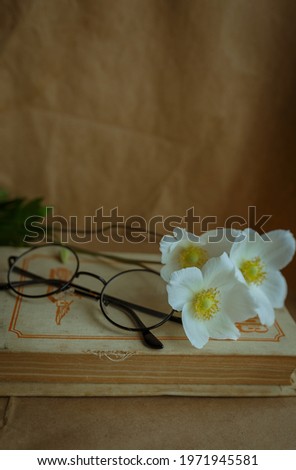 still life with book and flowers