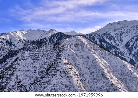 Majestic snowy mountains with fir forest on the background of blue sky with clouds in the winter season
