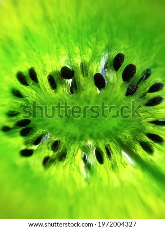 Bright green candied kiwi fruit with seeds close-up. Dried fruits. Candied kiwi.