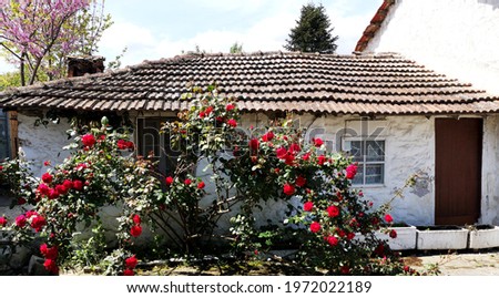 Red roses in front of  a small old house in Greece