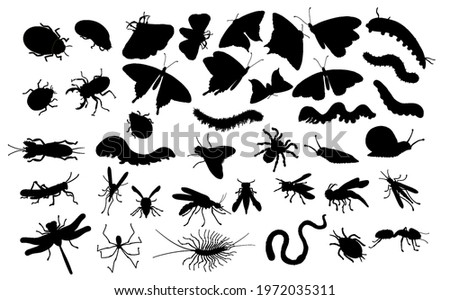 Large set of insects. Black silhouette - butterflies, caterpillars, spiders, aphids, wasps, bees, mosquitoes, beetles, worms, dragonflies, snails, flies, ants, grasshoppers and slugs.