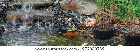 Decorative Pond or Small Lake on Backyard Garden with Waterfall and Water Potted Plants. Handmade Stony Pond with Water Cascade in Garden with Water Plants. Small Corner of Wild Nature For Family Rest