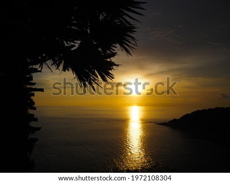 Evening sunset with tree and mountain silhouette