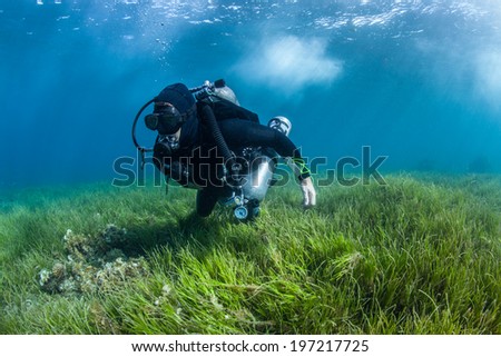 scuba diver in the shallows Royalty-Free Stock Photo #197217725