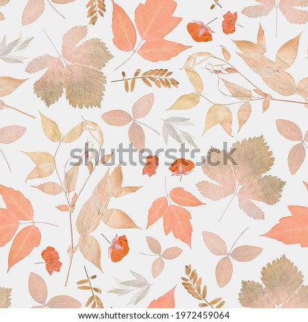 Floral seamless pattern in collage technique. Pressed dry plants on light grey background. Royalty-Free Stock Photo #1972459064