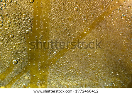 Drops of water on a clear glass background in a clear bottle. cold water drop steam from the cold