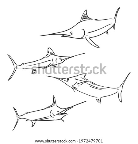 Vector illustration of tuna fishing. Vector illustration can be used for creating logo and emblem for fishing clubs, prints, web and other crafts.