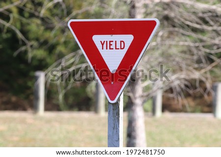 Yield sign in front of tree