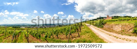 Panorama vineyard in Rheingau with Abbey Saint Hildegard, Hessen, Germany  Royalty-Free Stock Photo #1972509572