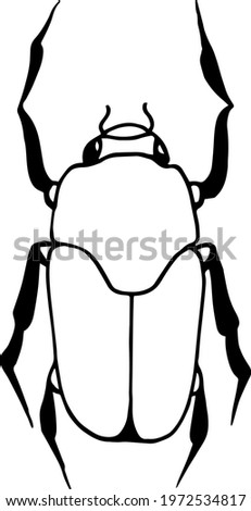 scarab, dung-beetle. Insect collection isolated on white. Vector illustration. set of illustrations. pests, beetles, insects, animals. black and white image 