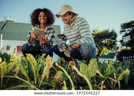 farmers working in vegetable patch for geography project searching information on leaves on digital tablet