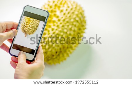 Woman takes a picture with smartphone of the The King of fruits durian on white background.