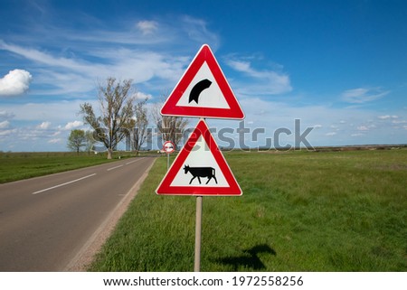 Traffic signs by the road. Cattle crossing red and white triangle sign with cow silhouette. Right curve ahead traffic sign and no-overtaking road sign in a back.