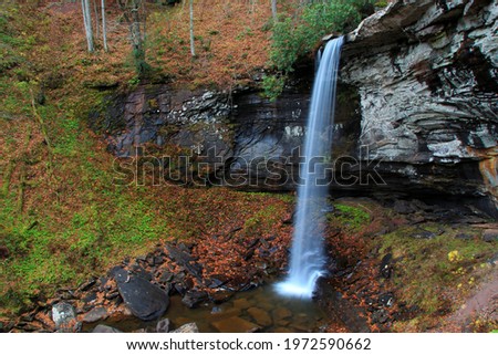 Lower Falls - Falls of Hills Creek - Monongahela National Forest - West Virginia