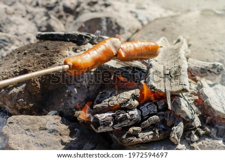 sausages on sticks are fried on a fire. The concept of outdoor recreation