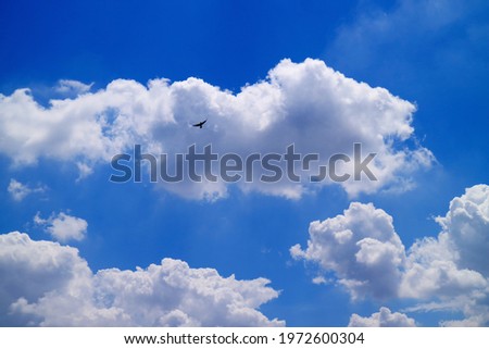 Fluffy Cumulus Clouds Floating on Blue Sky with a Silhouette of Flying Bird