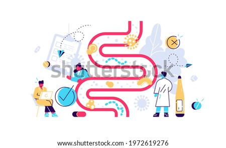 Human gut flora. Digestive stomach organisms for healthy life. Immunity and indigestion health. Vector intestinal microbiota, bifidobacterium colony and microflora bacteria flat illustration Royalty-Free Stock Photo #1972619276