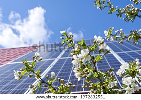 Photovoltaic panels on a slanted roof and fruit tree flowers Royalty-Free Stock Photo #1972632551