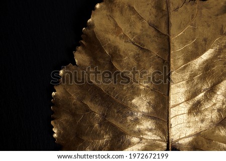 Golden leaf. Golden leaves on black background. Gold          