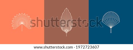 Set of Dried Palm Leaves in a Trendy Minimal Linear Style. Vector Tropical Leaf Boho Emblem. Floral Illustration for create Logo, pattern, T-shirt Prints, Tattoo, Social Media Post and Stories Royalty-Free Stock Photo #1972723607