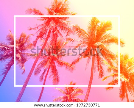 Colorful summer background with coconut palm trees on summer sky with vintage gradient filter colour tone with white blank square frame for text message, poster, banner.
