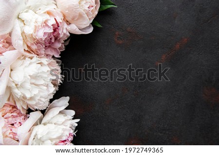 Fresh pink peony flowers border with copy space on black background, flat lay. 
