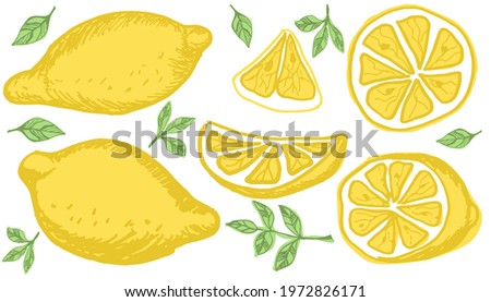Vector hand drawn set of lemons . Tropical fruits. Sketch. Doodle. Perfect for summer design.