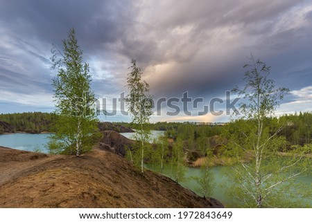 A landscape with colorful clouds over brown hills with rugged folds of relief overgrown with rare birch trees and some big trees with motion blurred branches in the foreground