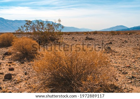 Beautiful panoramic landscape with mountains and desert in Death Valley, USA.