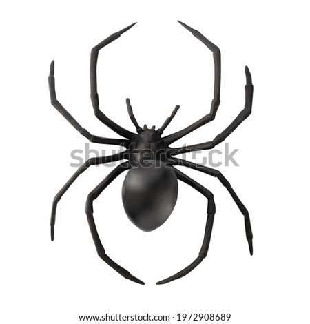 Fake rubber spider toy isolated over a white background. black spider toy isolated on white background. Comic horror for Halloween.