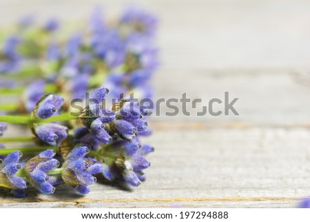lavender flowers in a row on old wood texture background